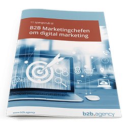 Rapport: B2B Digital Marketing